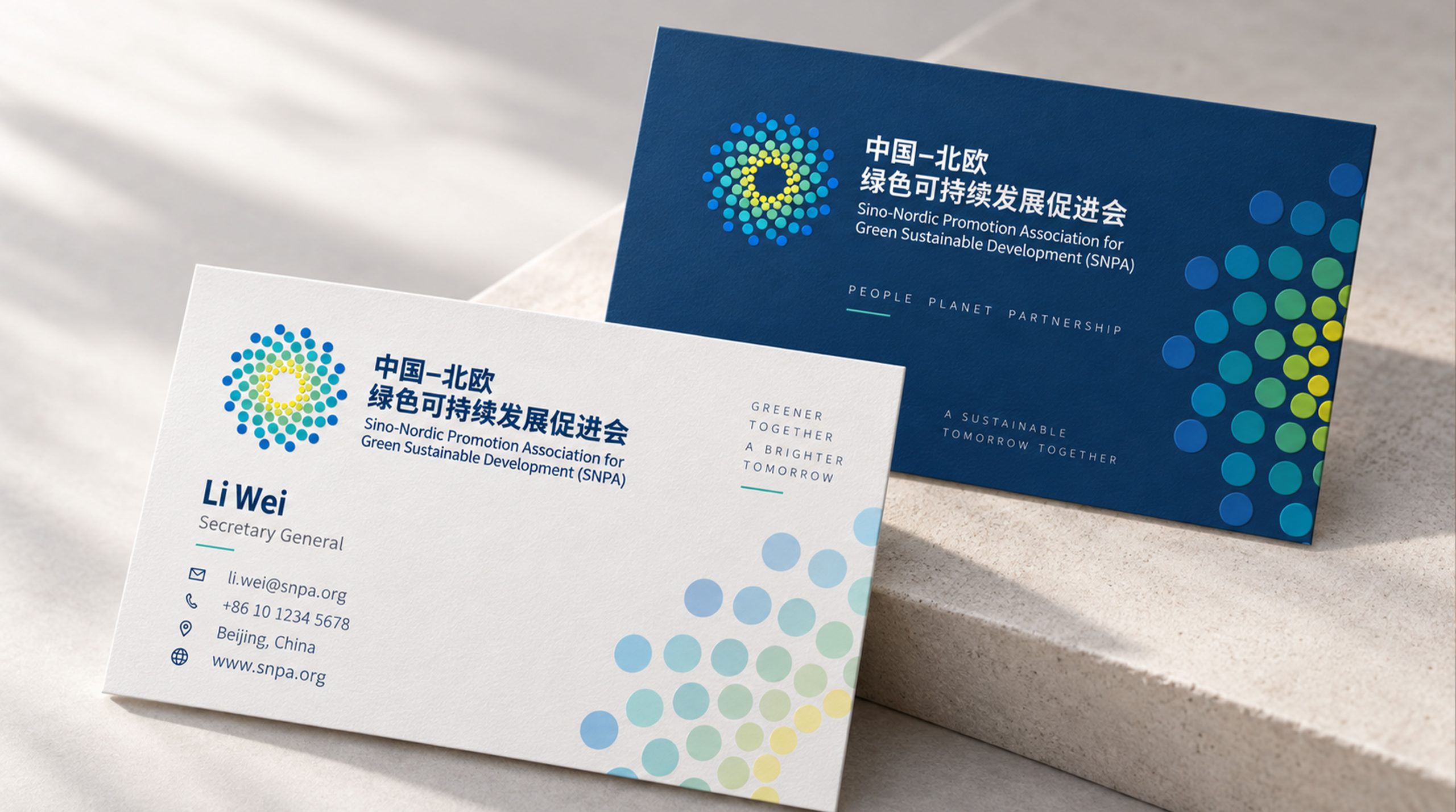 中国可持续发展协会标志设计