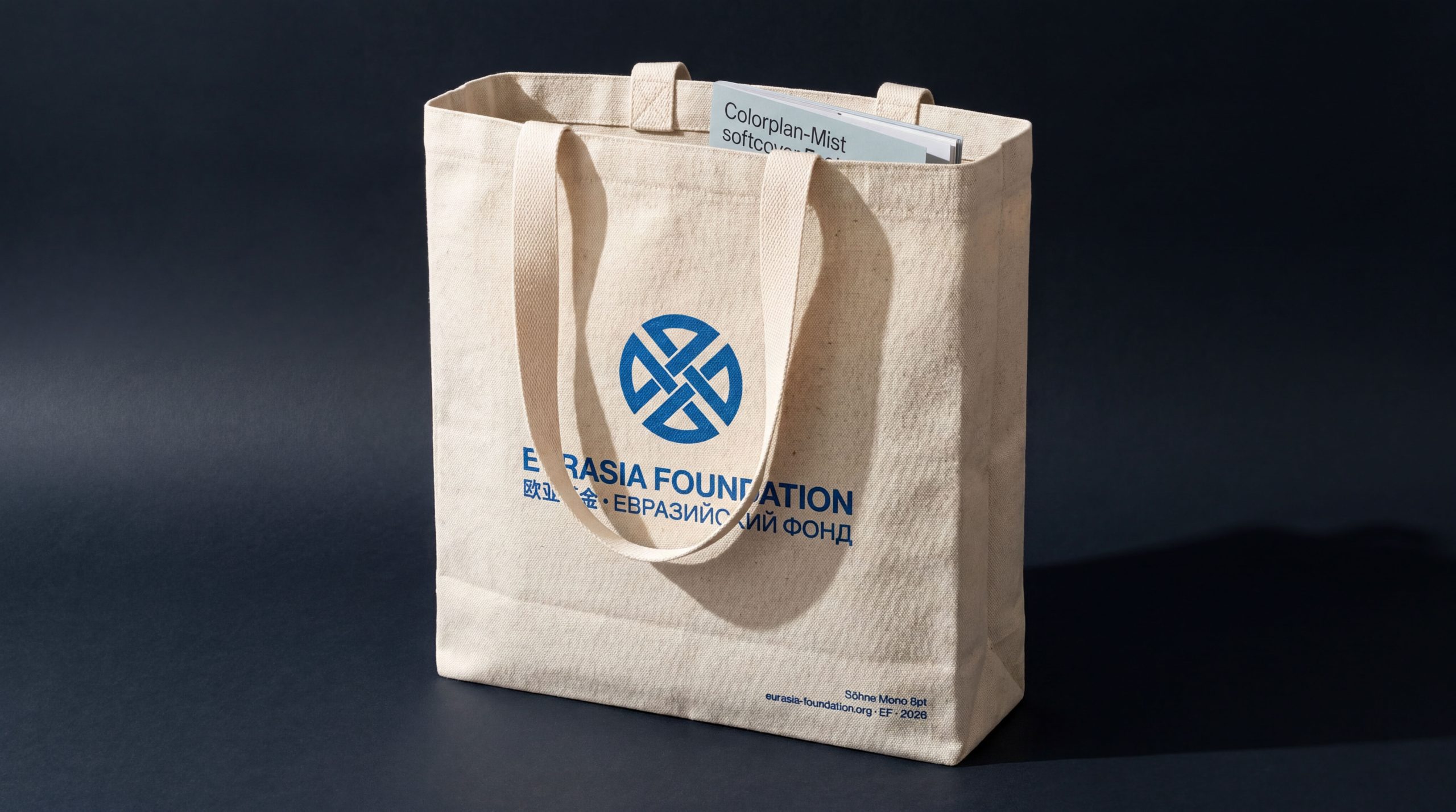 EURASIA FOUNDATION｜欧亚基金标志设计