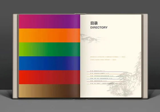 解放军总医院|色彩与识别规范 · 项目设计展示